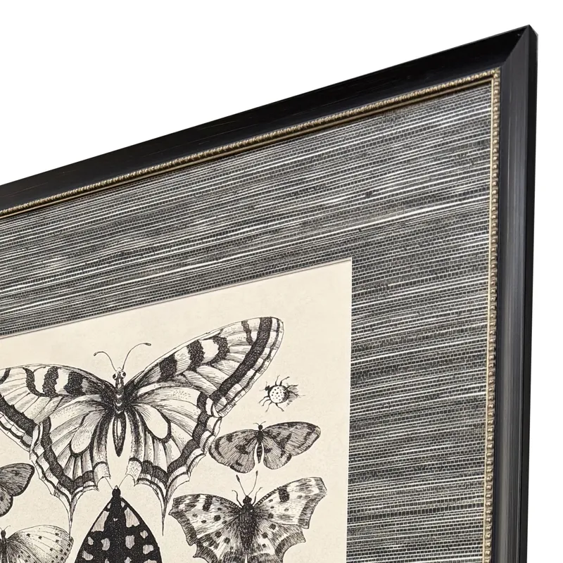 Anthropod Collection S/4 Framed Art