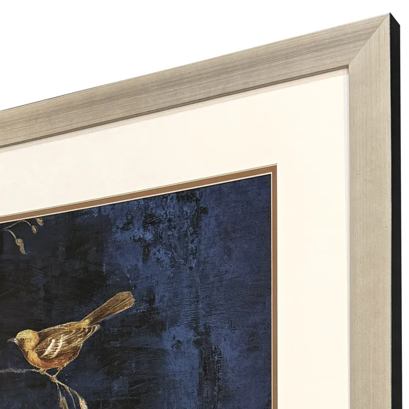 Oriole I Framed Art