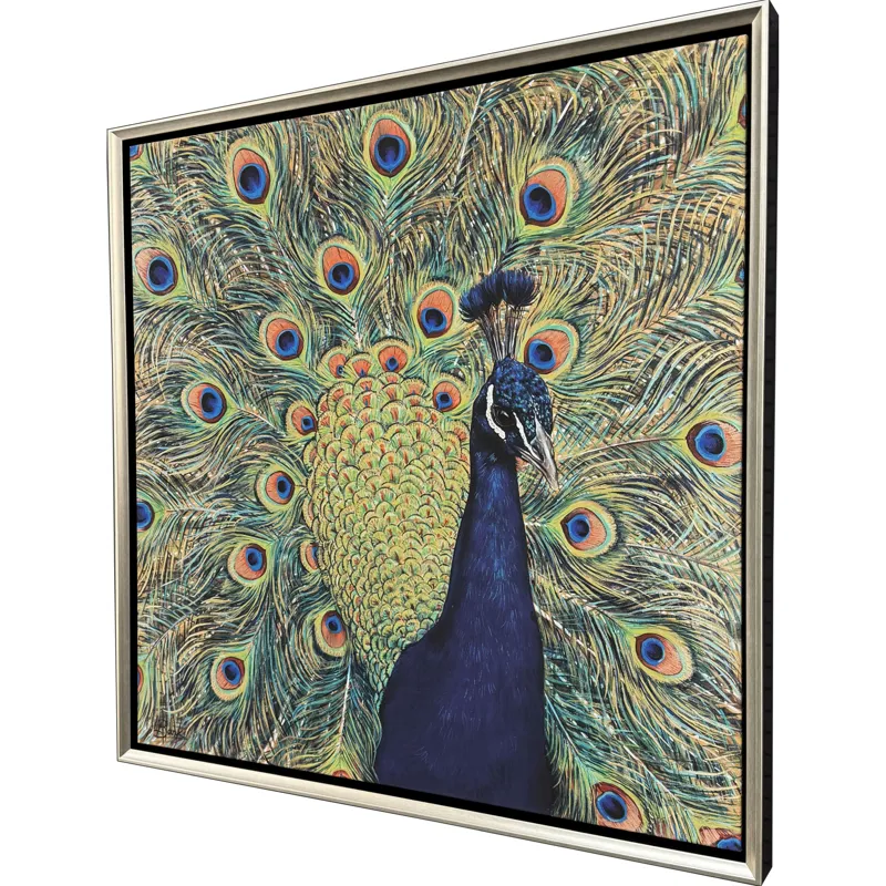 Peacock Plumage Canvas