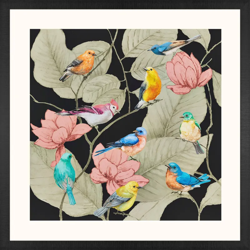 Array of Birds Framed Art