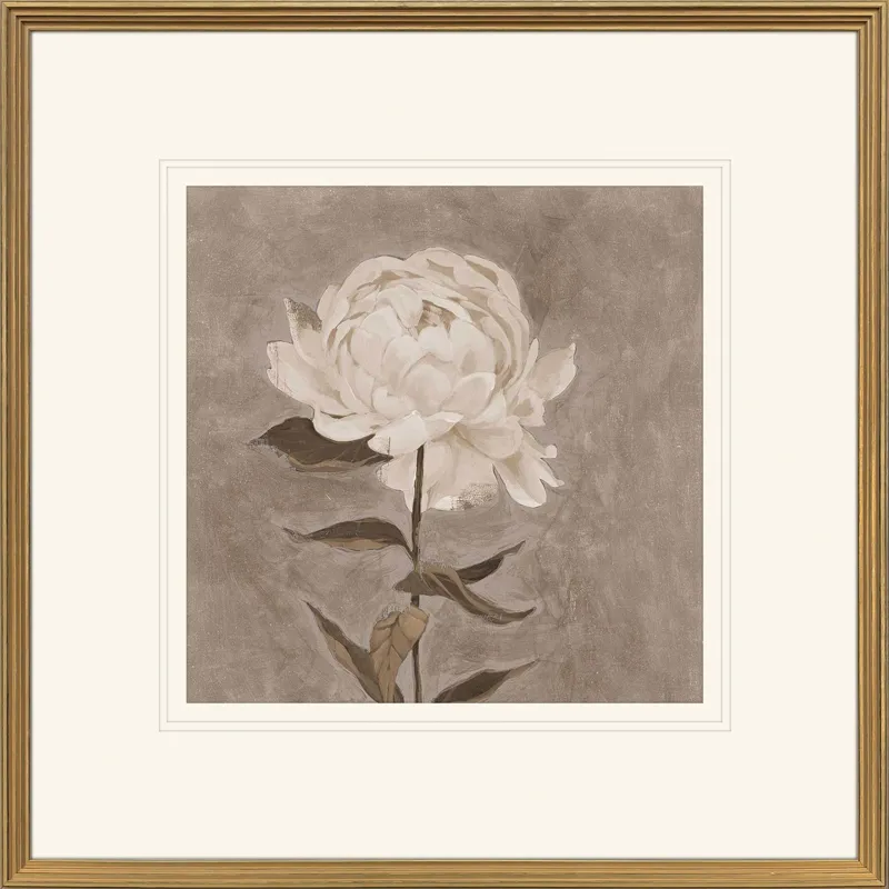 Pretty as a Peony I Framed Art