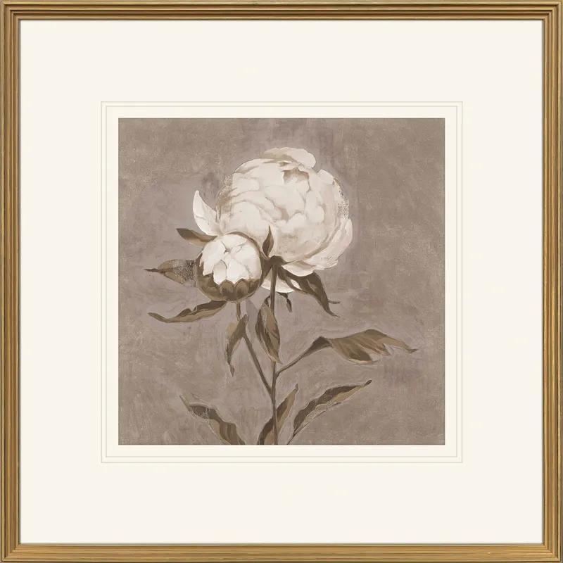 Pretty as a Peony II Framed Art
