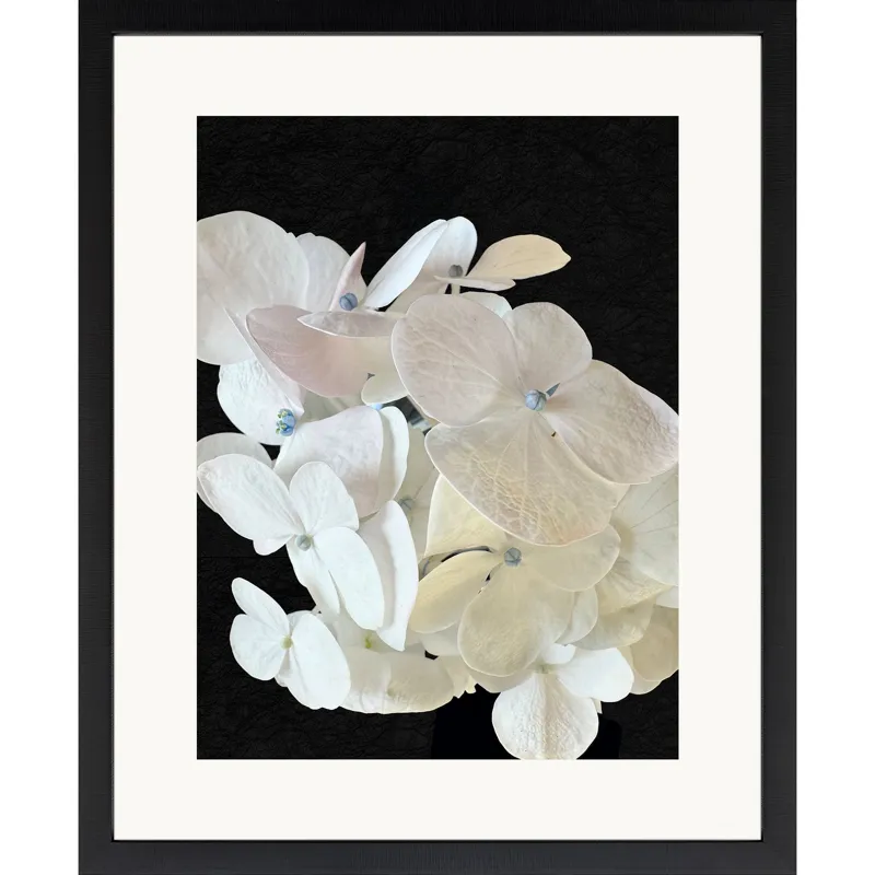 Modern Hydrangea I Framed Art