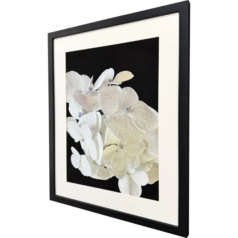 Modern Hydrangea I Framed Art