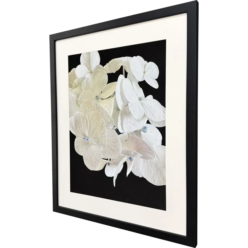 Modern Hydrangea II Framed Art