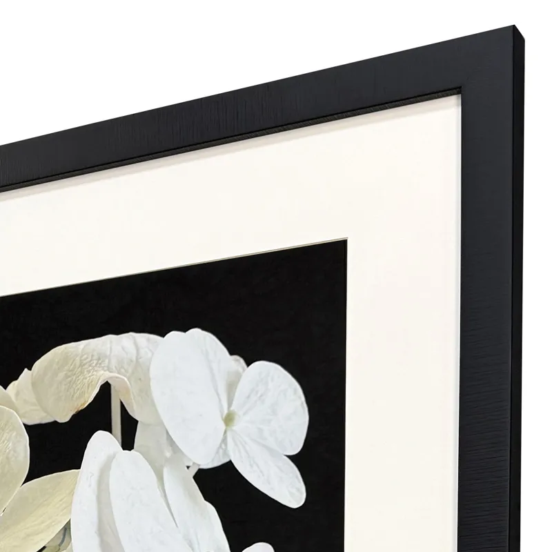 Modern Hydrangea II Framed Art