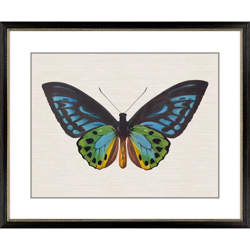 Garden Visitor I Framed Art