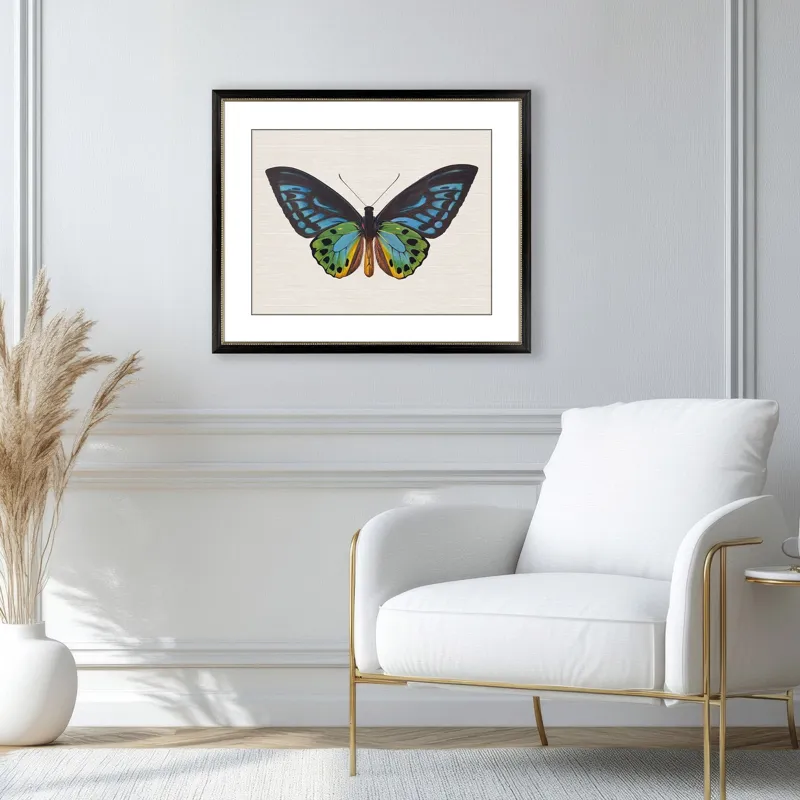 Garden Visitor I Framed Art