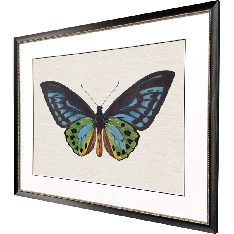 Garden Visitor I Framed Art
