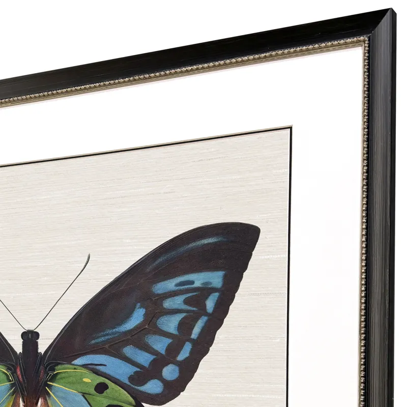 Garden Visitor I Framed Art