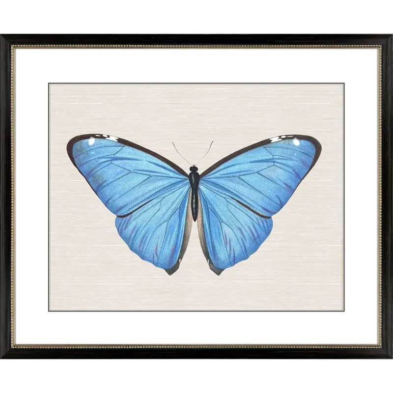 Garden Visitor II Framed Art