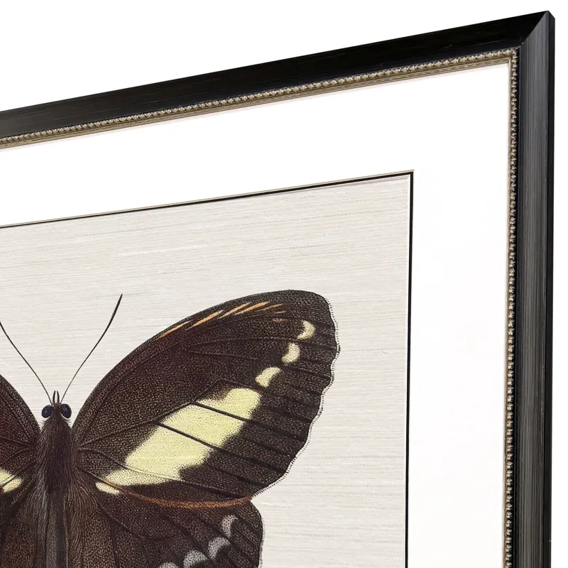 Garden Visitor IV Framed Art