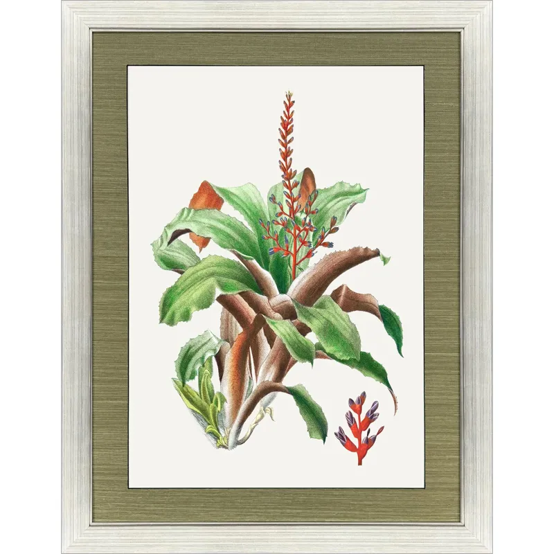 Cactus Floral Framed Art