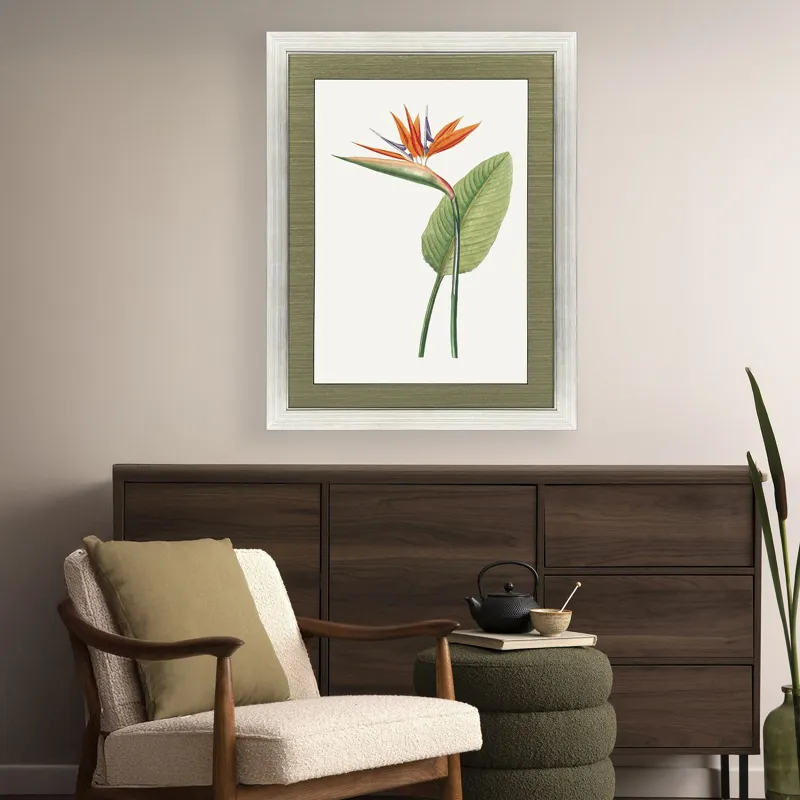 Bird of Paradise Framed Art