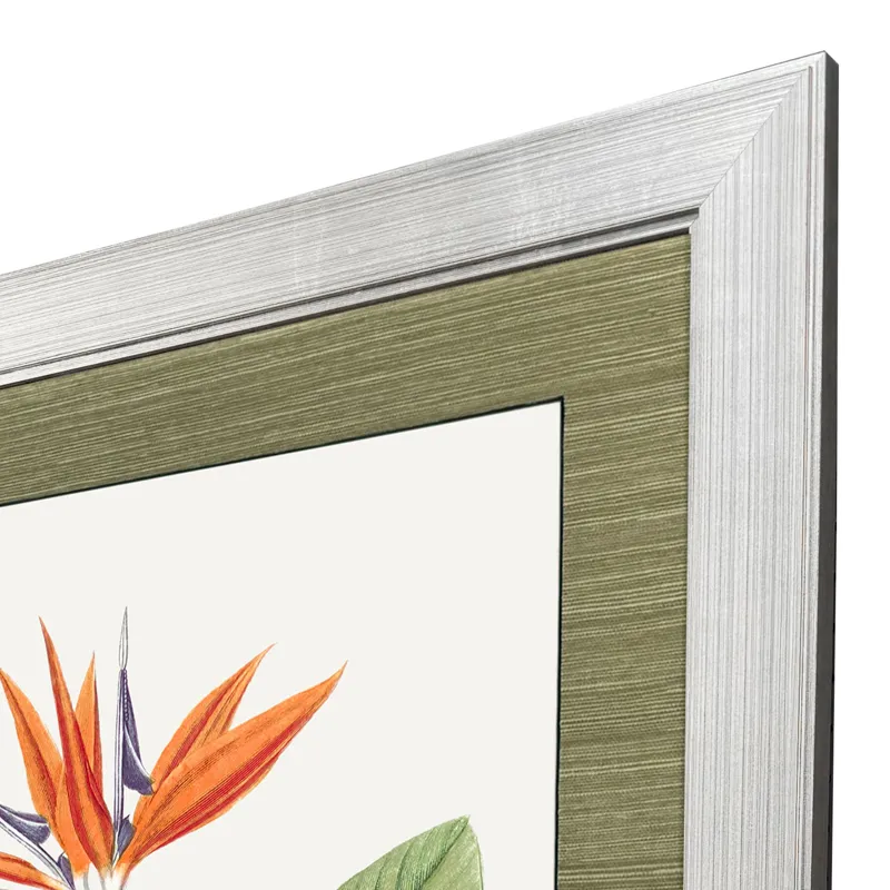 Bird of Paradise Framed Art