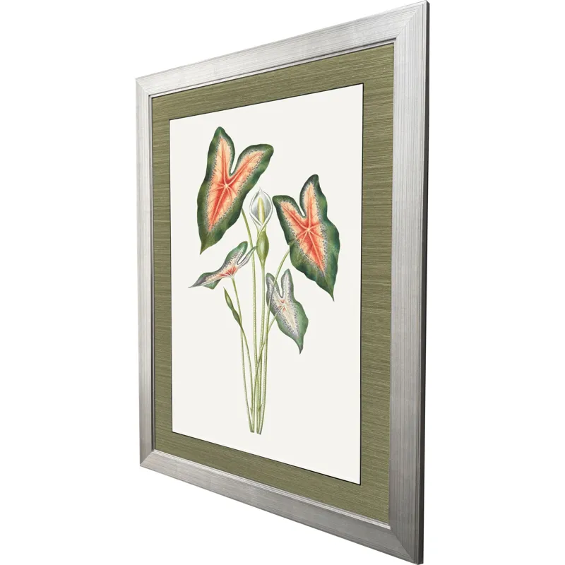Caladium Framed Art