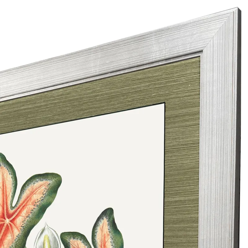 Caladium Framed Art