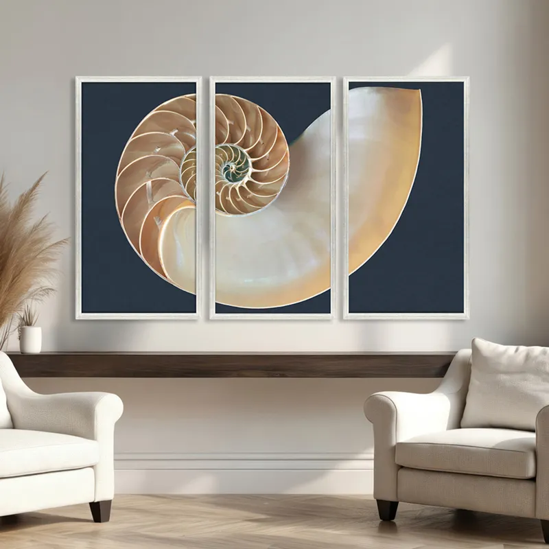 Nautilus Triptych S/3 Framed Art