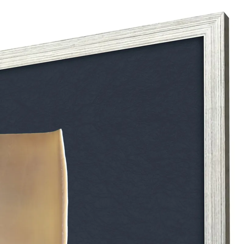 Nautilus Triptych S/3 Framed Art