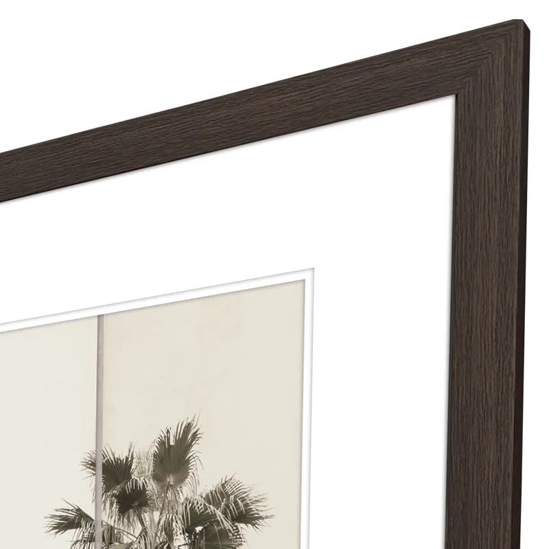 Paper Palms II Framed Art