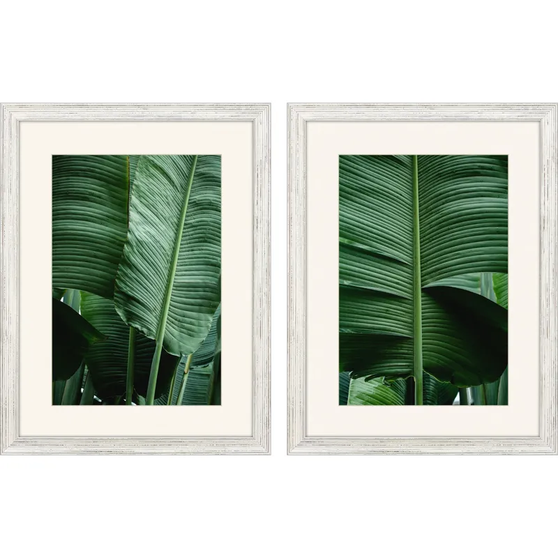 Leaf Study S/2 Framed Art