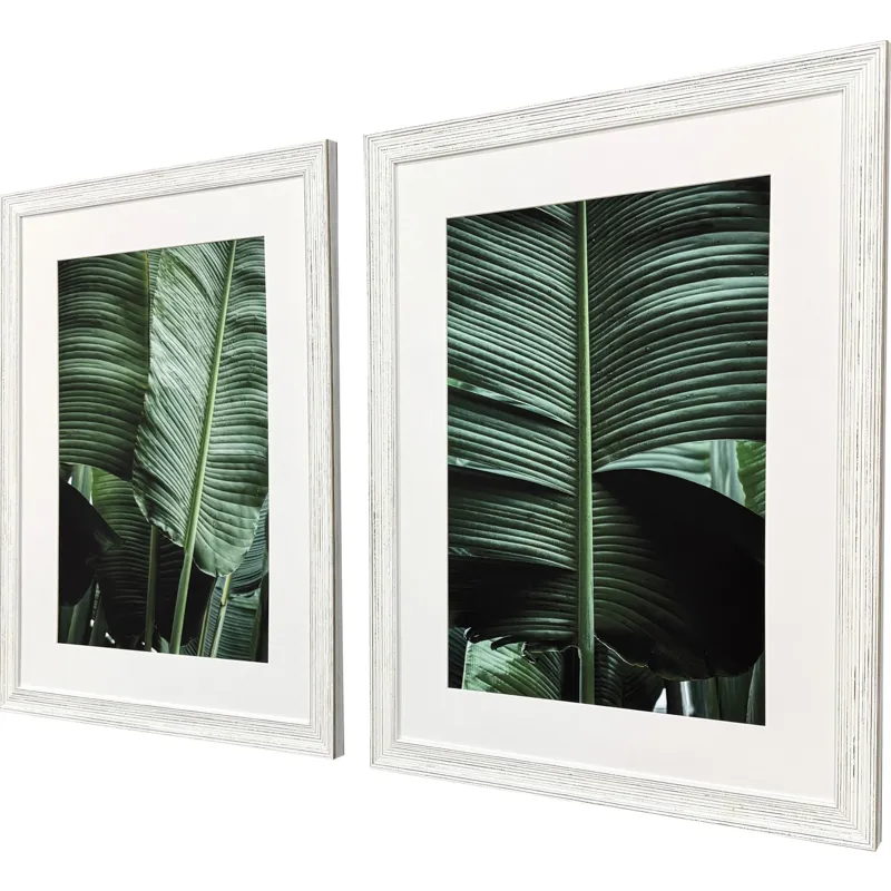 Leaf Study S/2 Framed Art