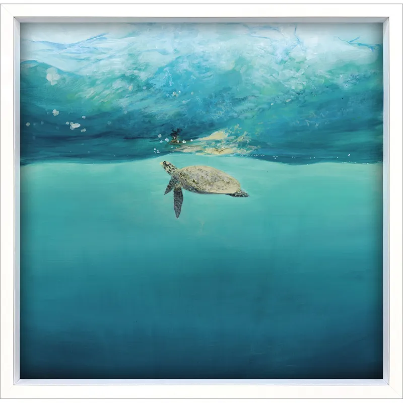 Turtle Reflection Framed Art