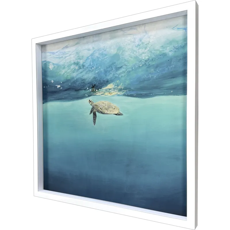 Turtle Reflection Framed Art