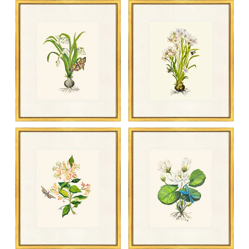 Delicate Medley I S/4 Framed Art