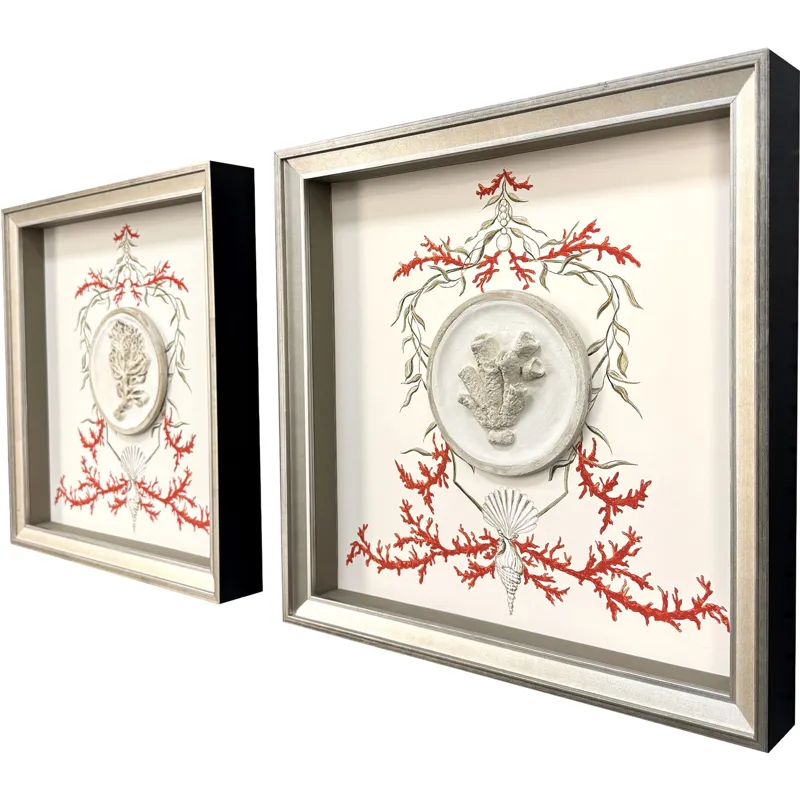 Coral Elegance I S/2 Framed Art
