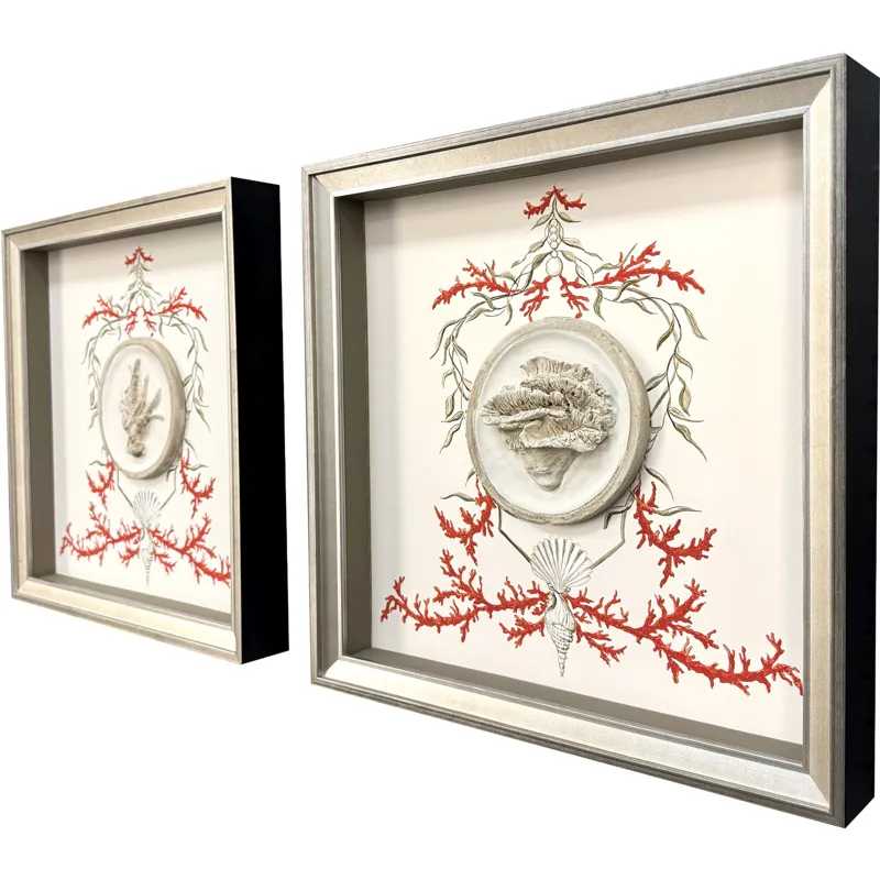Coral Elegance II S/2 Framed Art