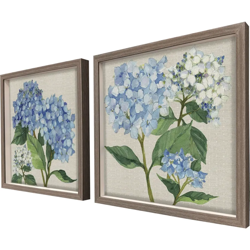 Hydrangea Study S/2 Framed Art