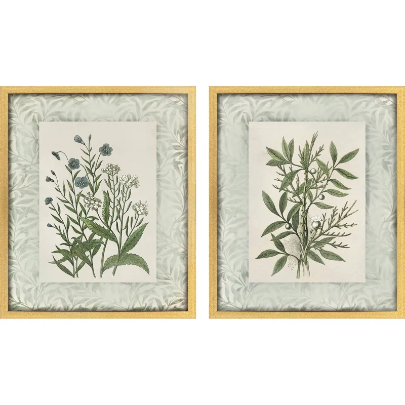 Herbs and Spice S/2 Framed Art