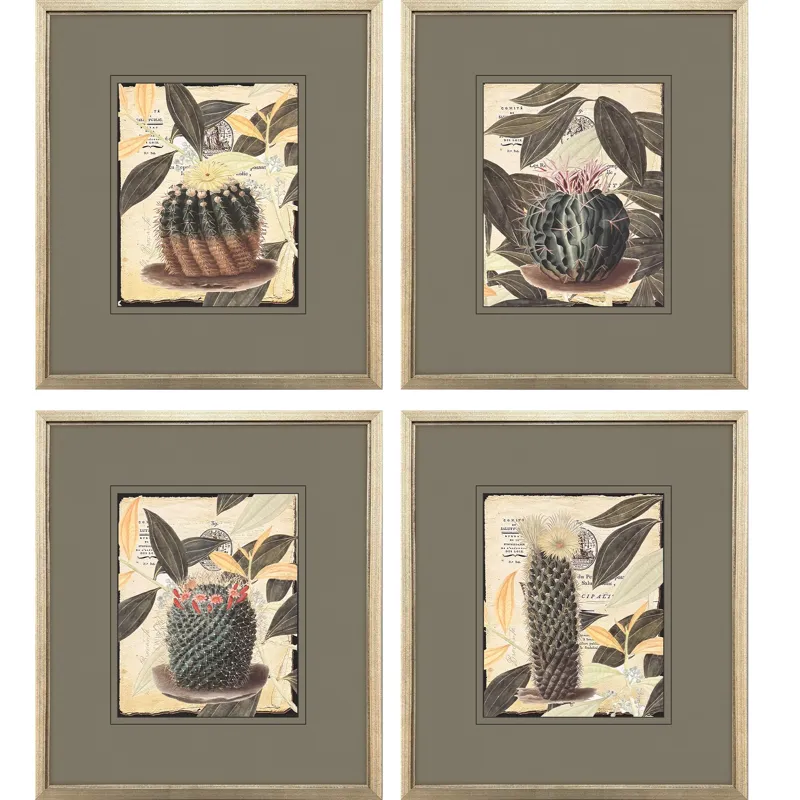 Cactus Collage S/4 Framed Art