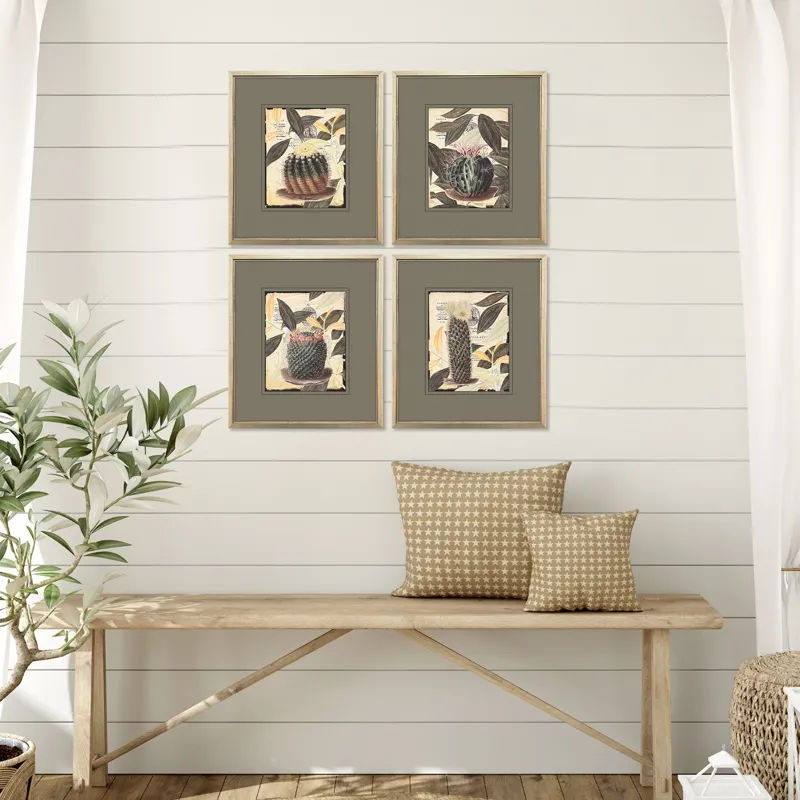 Cactus Collage S/4 Framed Art
