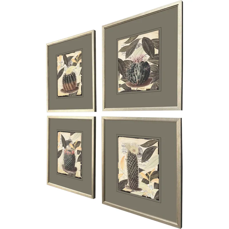 Cactus Collage S/4 Framed Art