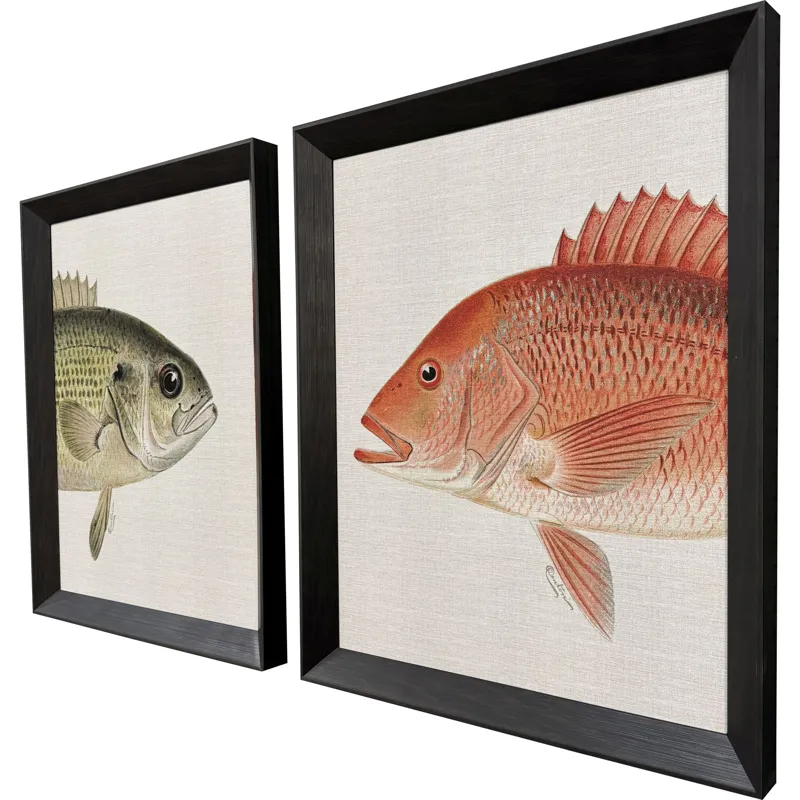 Green/Red Fish S/2 Framed Art