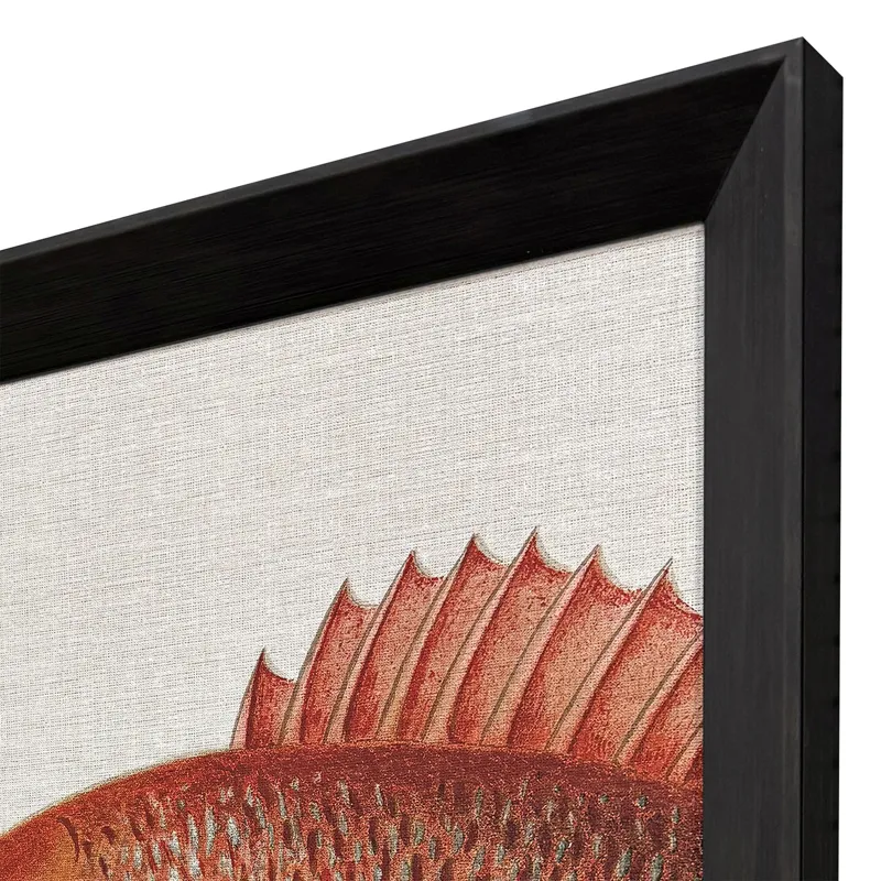 Green/Red Fish S/2 Framed Art