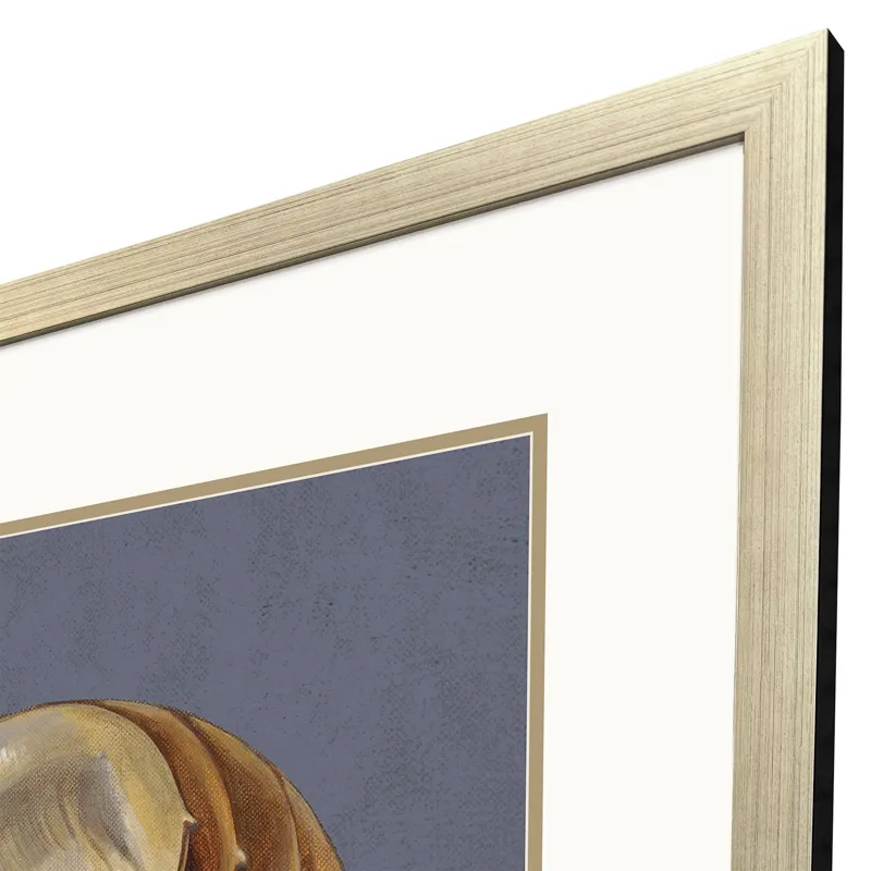 Ocean Treasure Framed Art
