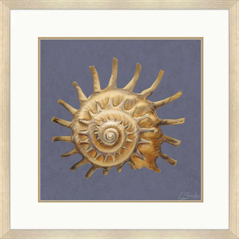 Coastal Delight Framed Art