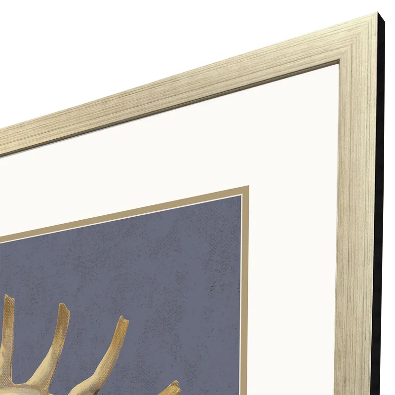 Coastal Delight Framed Art