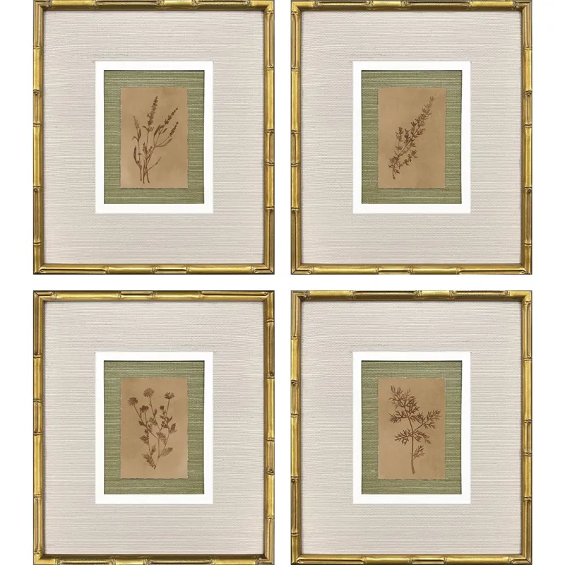 Organic Botanical I S/4 Framed Art