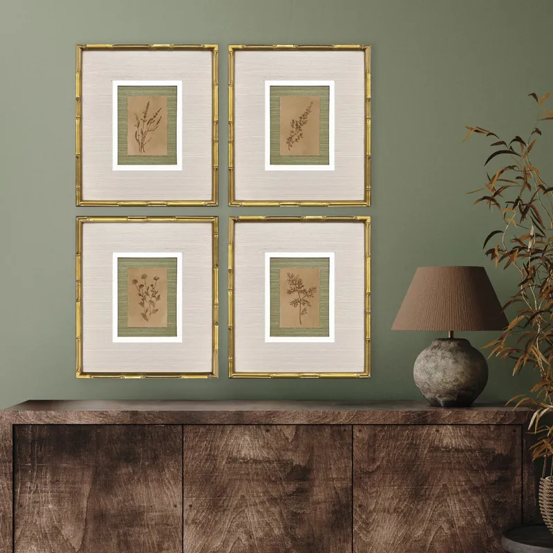 Organic Botanical I S/4 Framed Art
