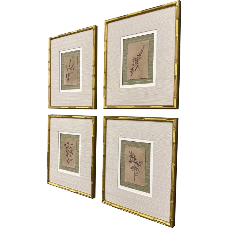 Organic Botanical I S/4 Framed Art
