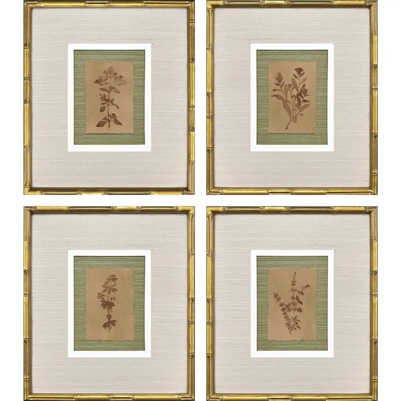 Organic Botanical II S/4 Framed Art
