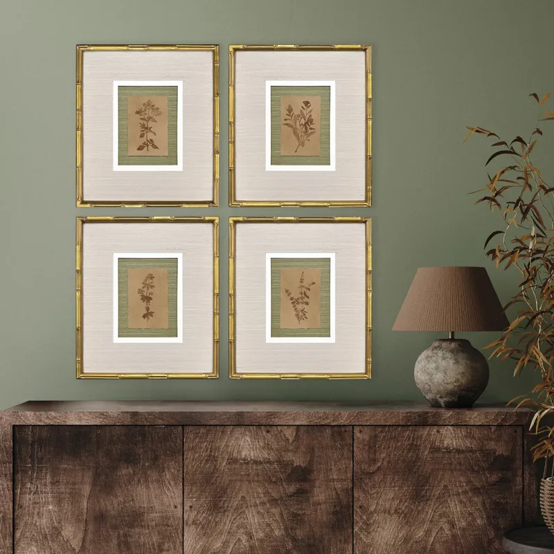 Organic Botanical II S/4 Framed Art