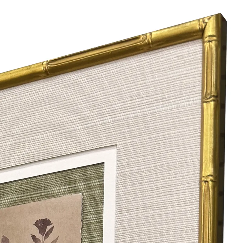 Organic Botanical II S/4 Framed Art