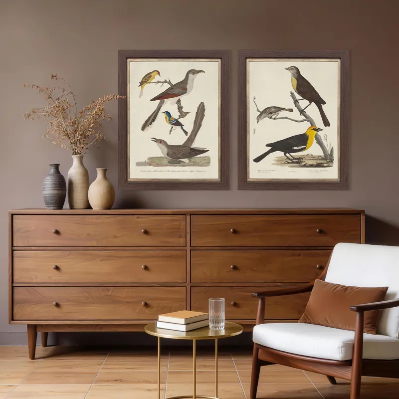 Ornithology I S/2 Framed Art