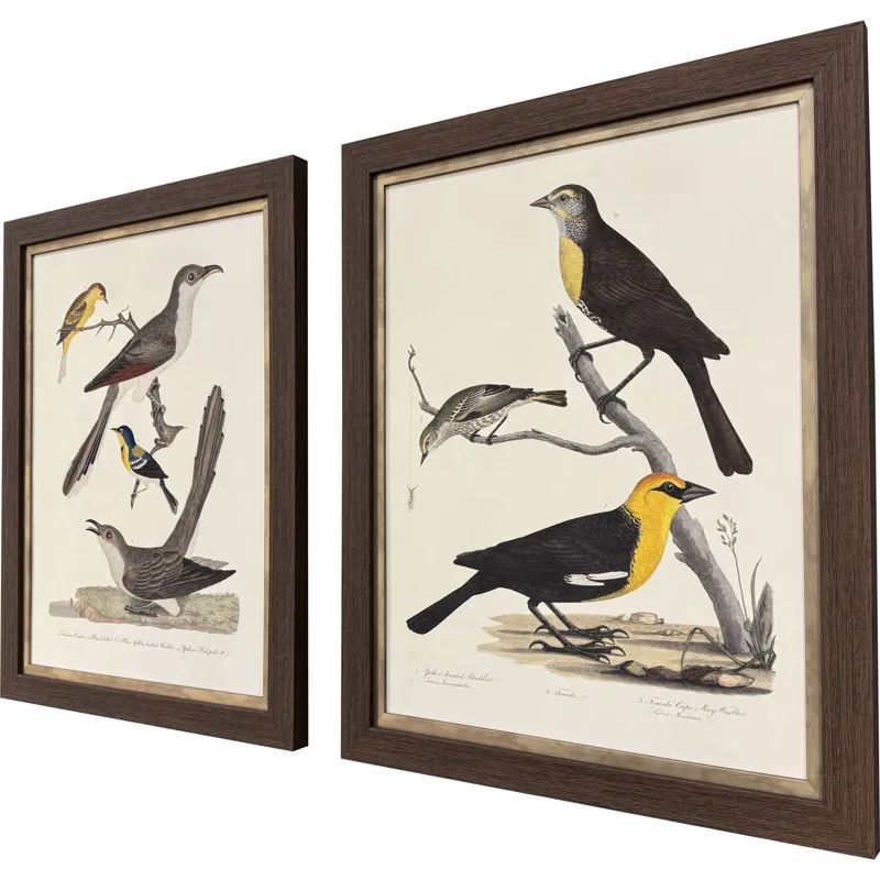 Ornithology I S/2 Framed Art