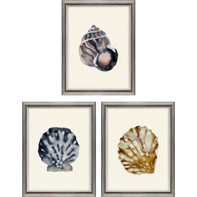 Coastal Collection I S/3 Framed Art